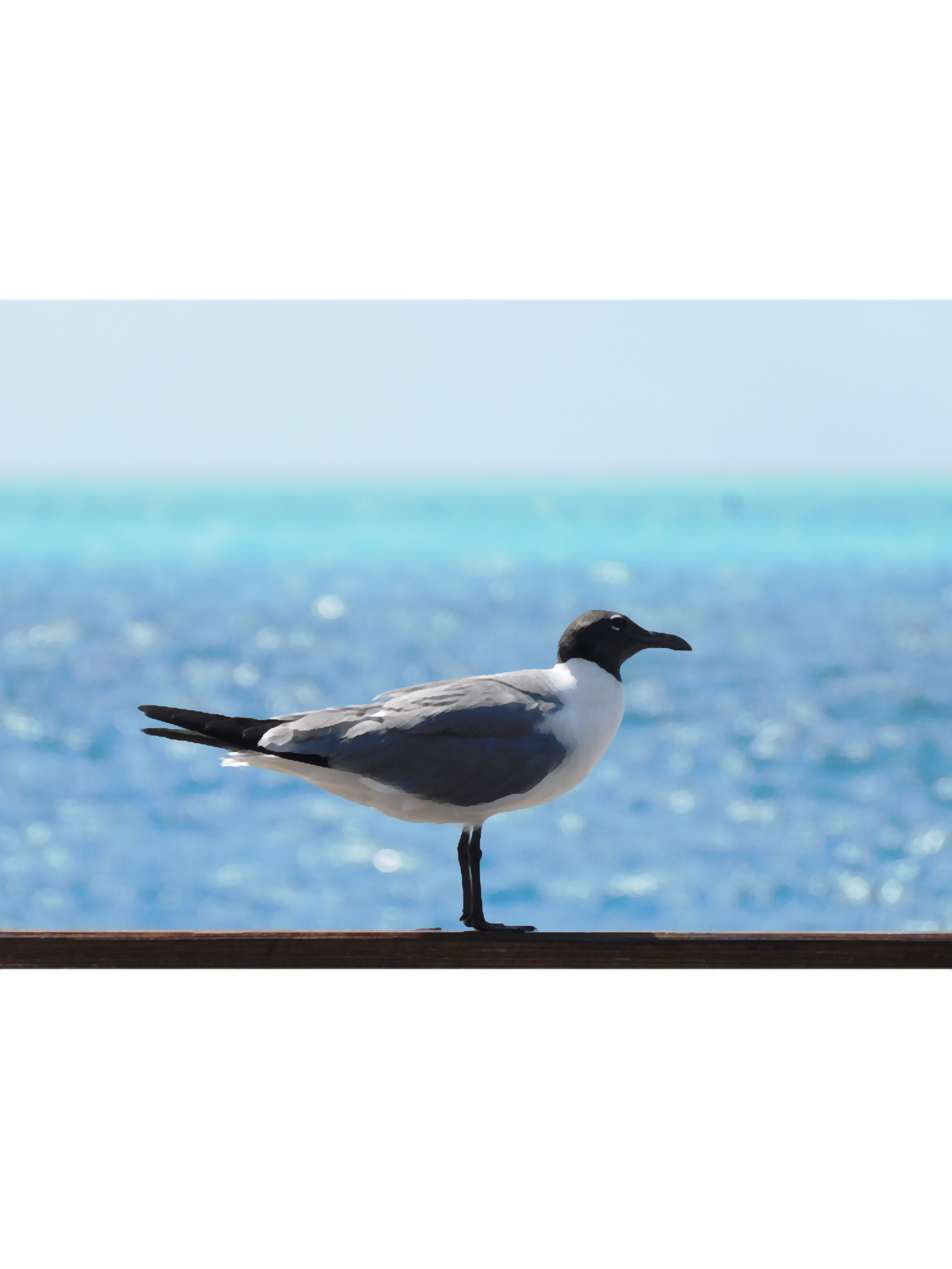 Beach Photography | Inspire Uplift