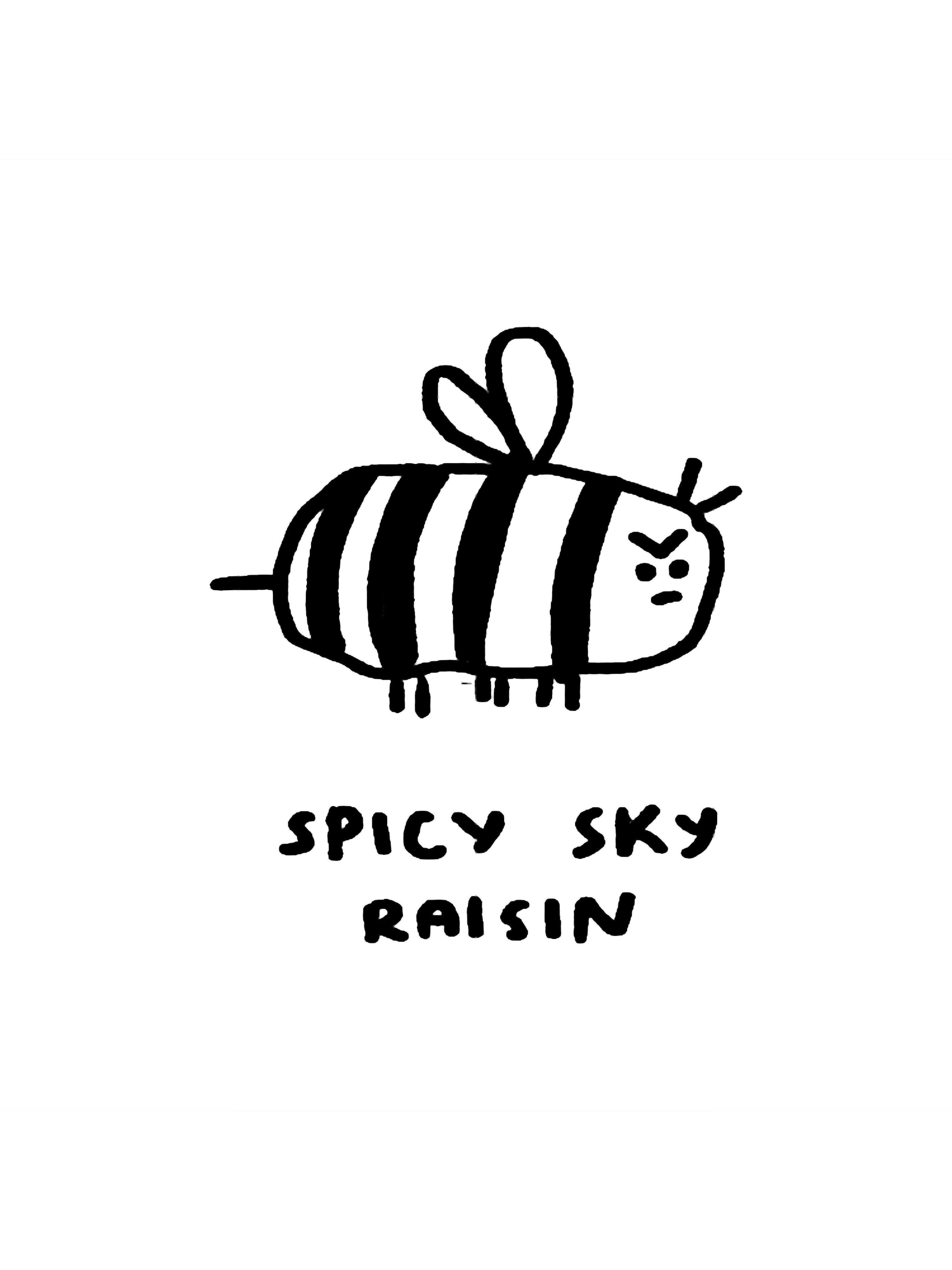 Sky Raisin Chart Spicy Sky Raisin | Inspire Uplift