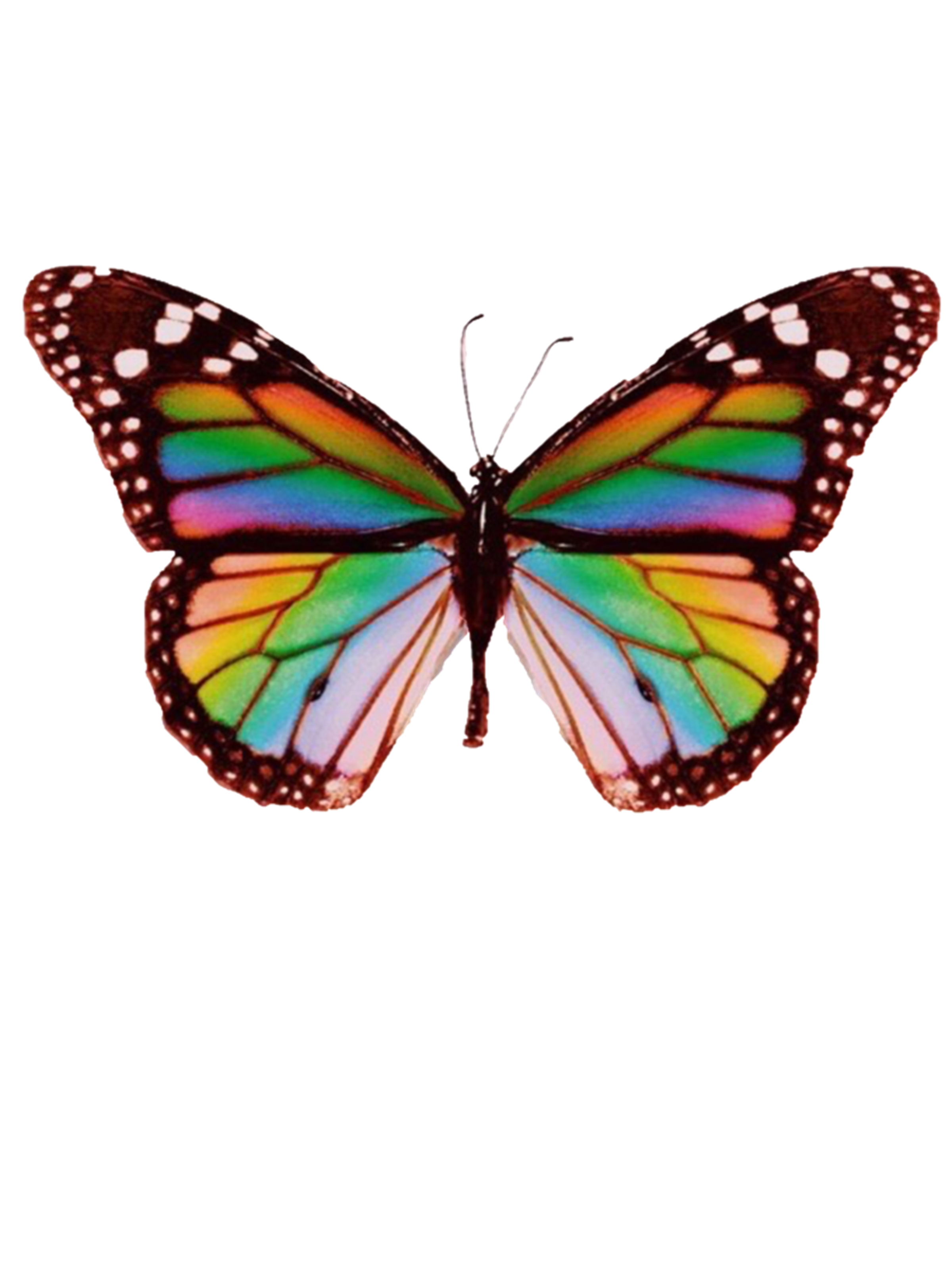 Playboi Carti Rainbow Butterfly Inspire Uplift