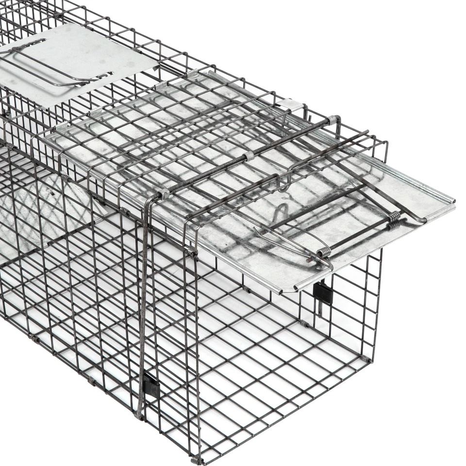 Humane Rodent Trap, Live Animal Cage Trap, Raccoon Cage with Iron Door, Safe and Reusable for Small Animals