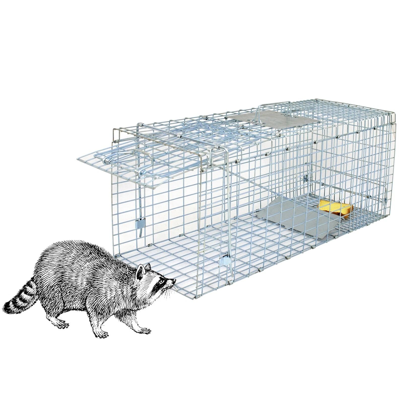 Live Animal Trap Cage, Extra Large for Rodents, Rabbits | Inspire Uplift