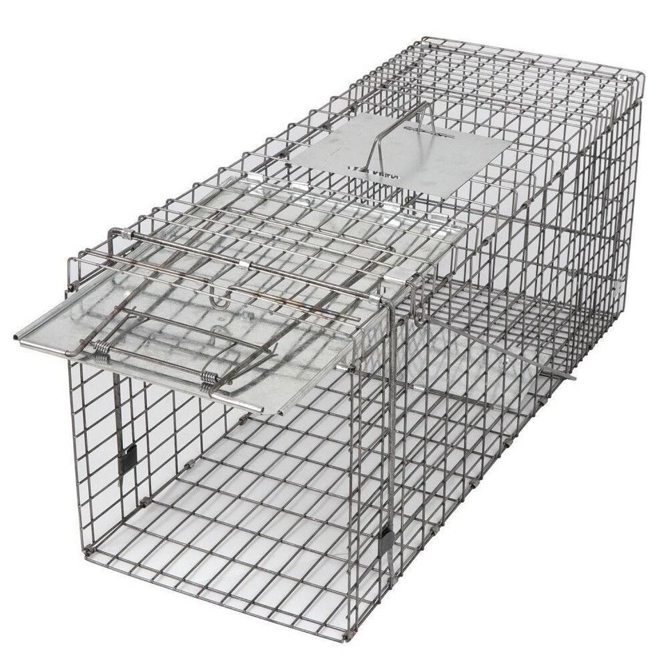 Humane Large Animal Trap, Spring Loaded, Easy to Bait & Release, Strong Frame, Safe and Durable for Home, Farm Use