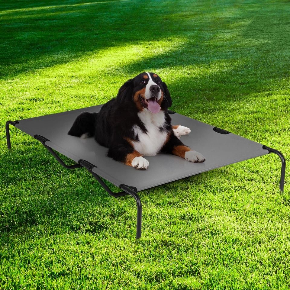 Elevated Dog Bed Durable Raised Pet Cot for Indoor & Outdoor Use