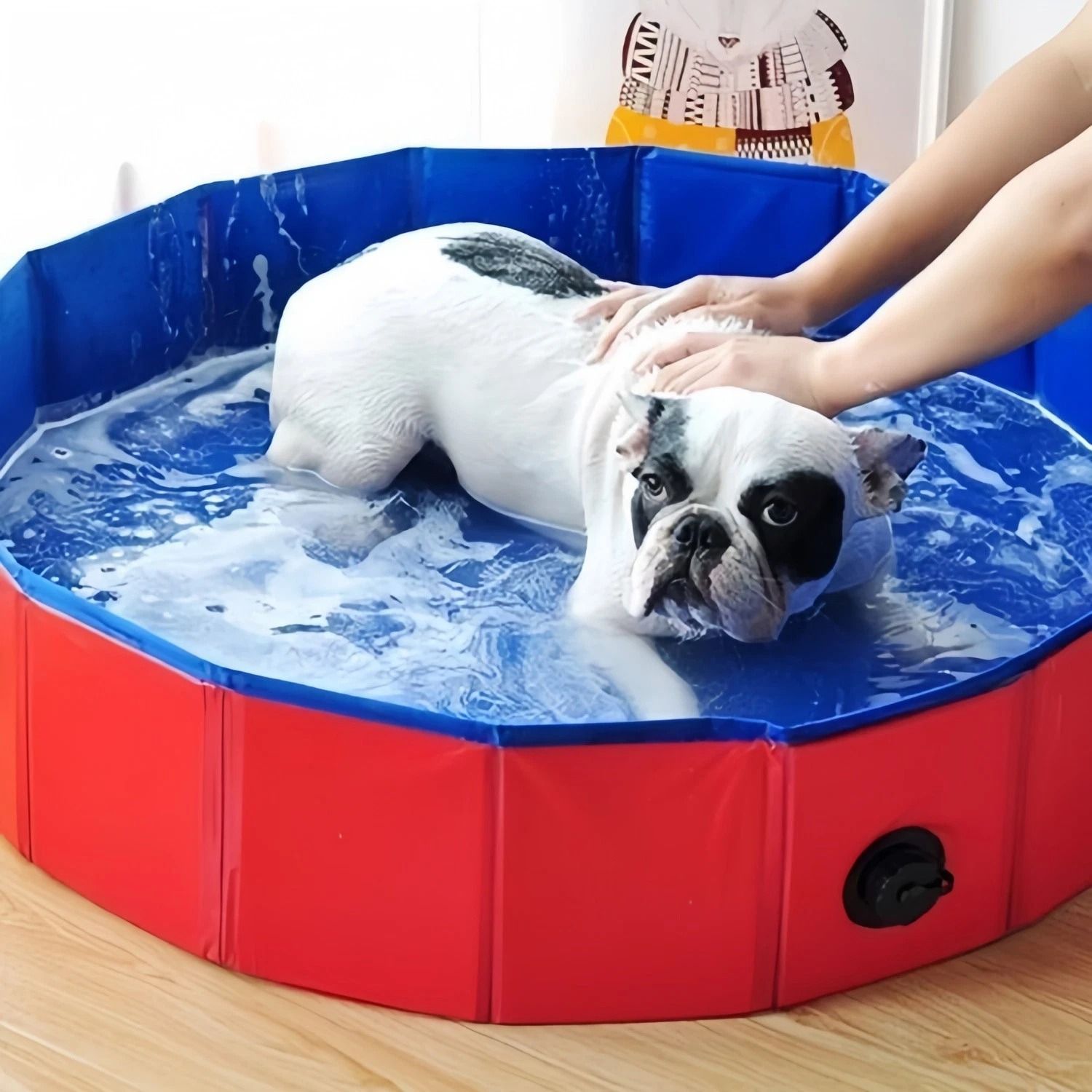 Foldable Dog Pool and Collapsible Pet Bathtub
