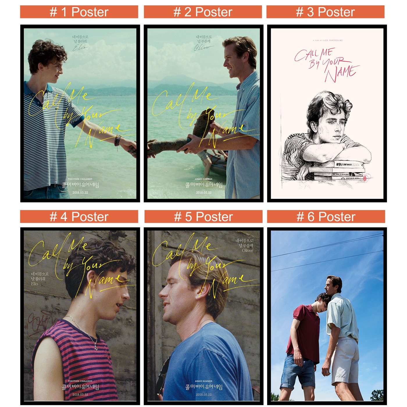 Call Me By Your Name Movie Poster Armie Hammer Timothe Chala Inspire 