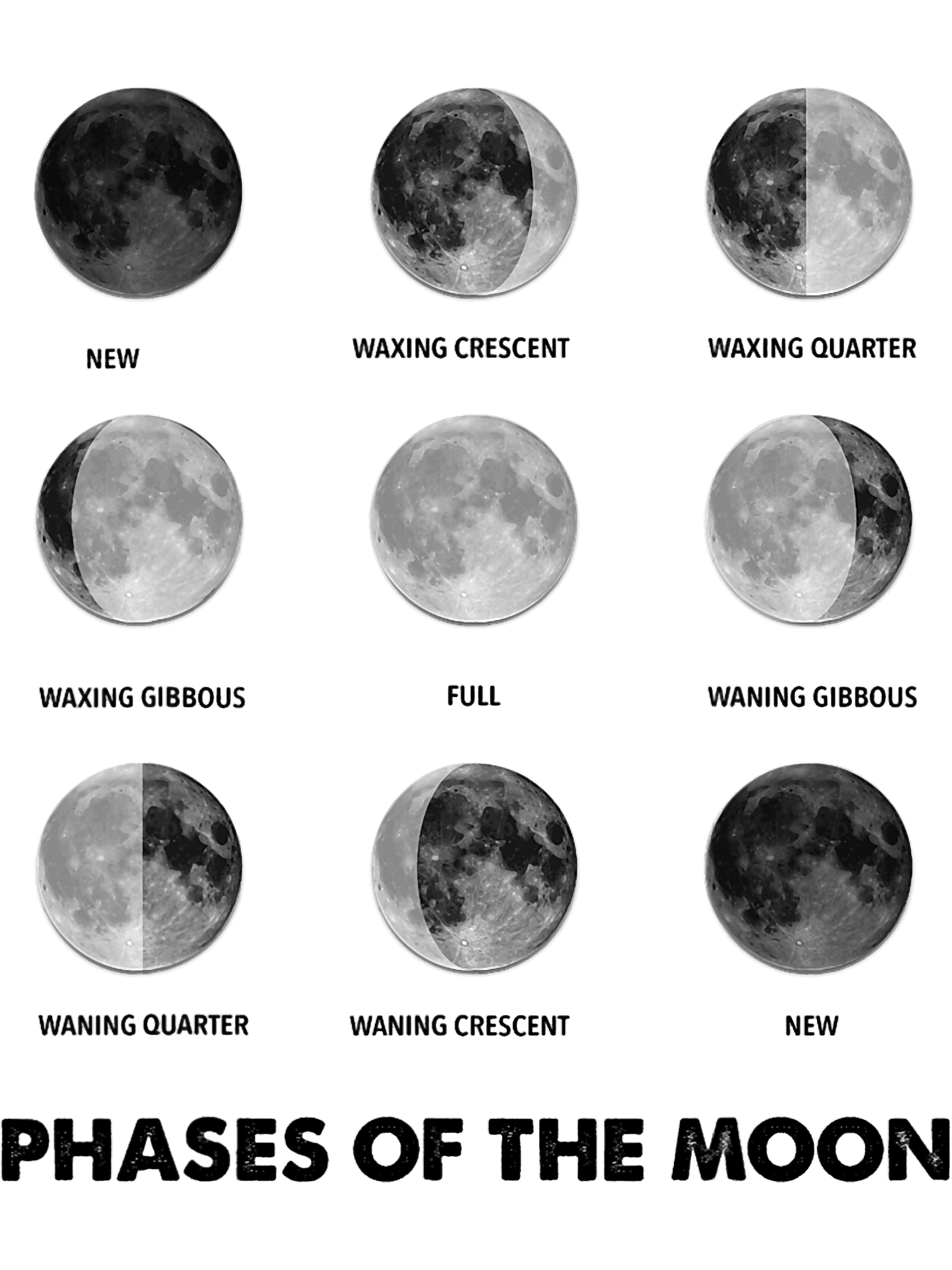 1704135712_MoonPhaseMoonCycles