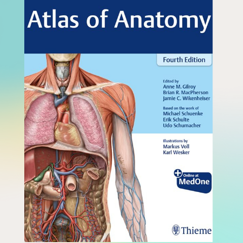 Atlas of Anatomy 4th Edition by Anne M Gilroy (Author) | Inspire Uplift