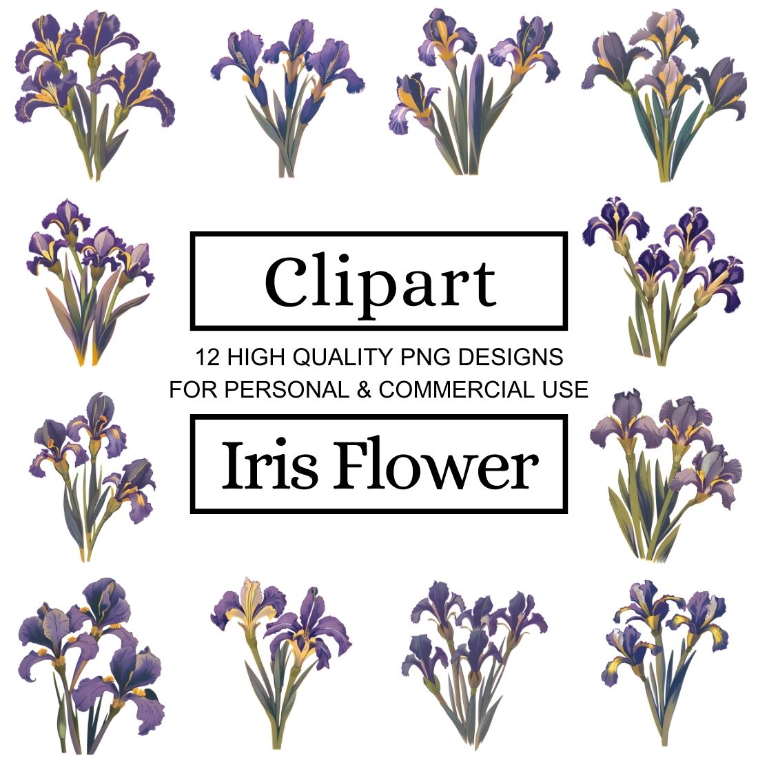 Fun and Creative Iris Flower Clipart Designs | Use Them for | Inspire ...