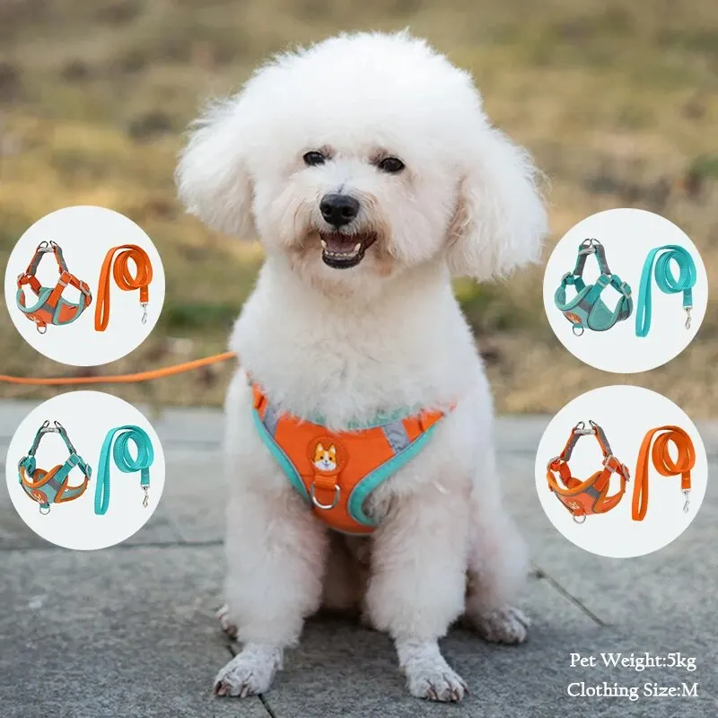 Booteely Reflective Pet Harness Vest with Leash for Small Dogs and Cats – Suede, Lightweight, and Convenient