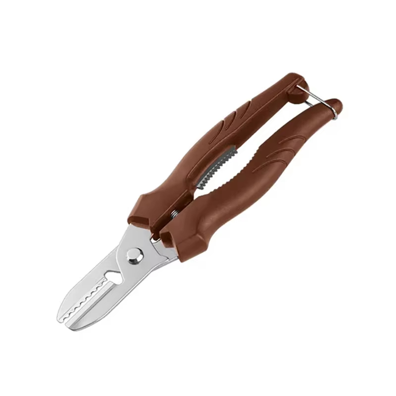 Stainless Steel Chestnut Cutter and Peeler Tool Safe Cross Cut Nut Shell Opener