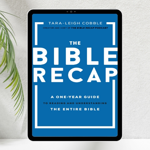 The Bible Recap: A One-Year Guide to Reading and Understandi | Inspire ...