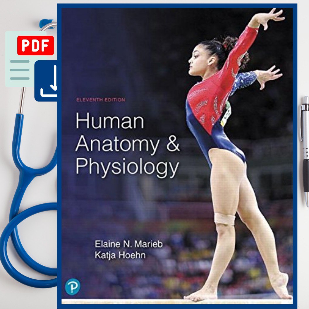 ESSENTIALS OF HUMAN ANATOMY AND PHYSIOLOGY PEARSON PDF visual data 6