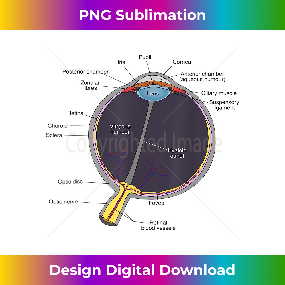 Human Eye Anatomy Chart Diagram Futuristic PNG Sublimation Inspire