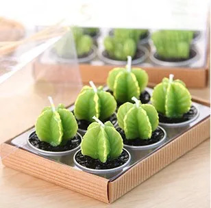 Mini Cactus Candles