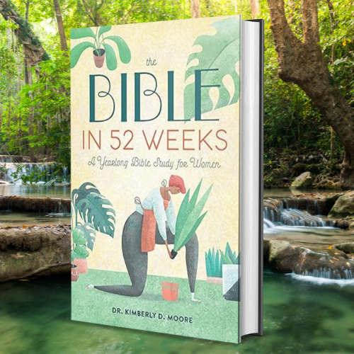The Bible In 52 Weeks A Yearlong Bible Study For Women Inspire Uplift The bible in 52 weeks a yearlong bible study for women inspire uplift