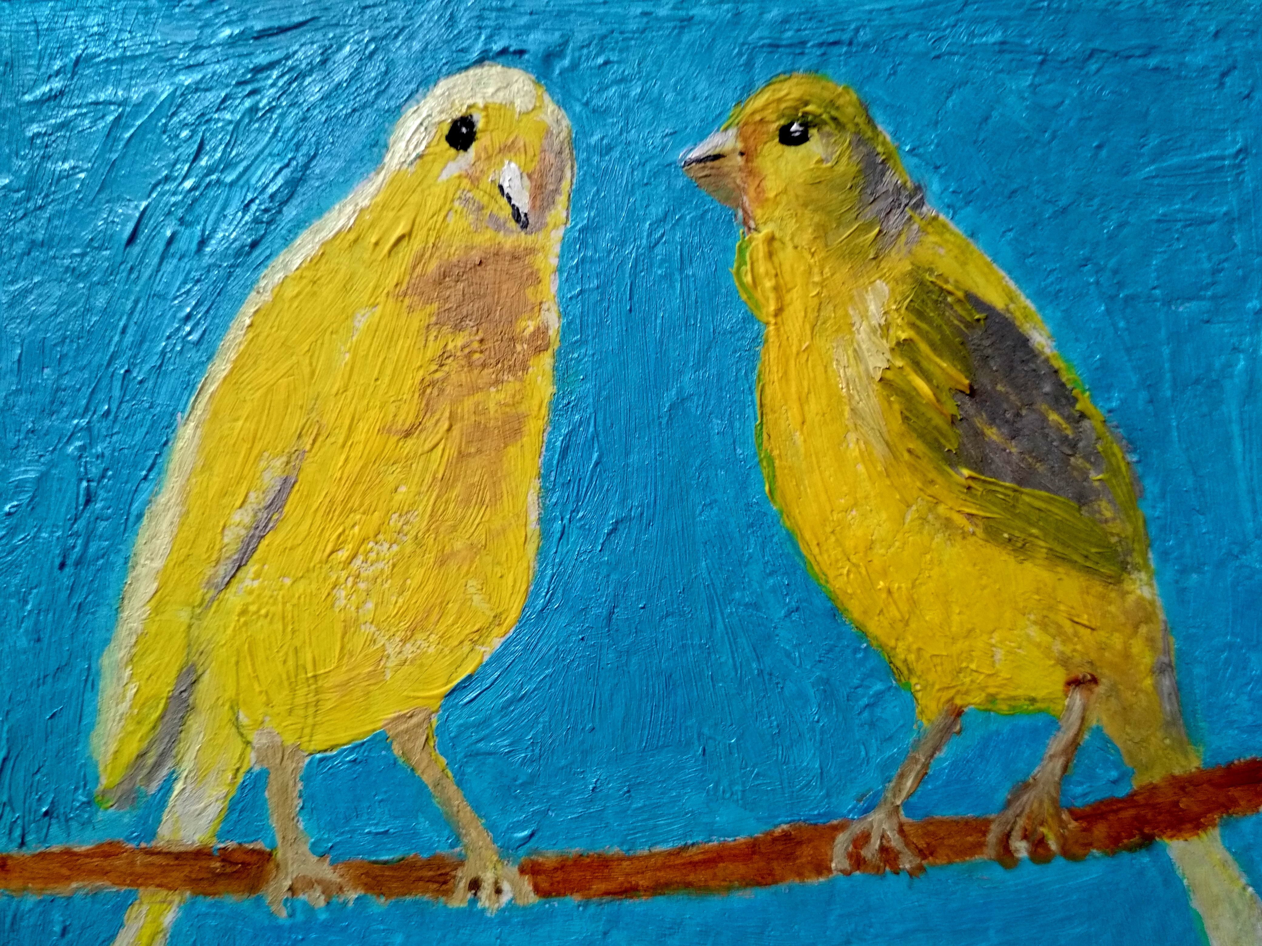 Yellow Canary Drawing 16 Canary Images!