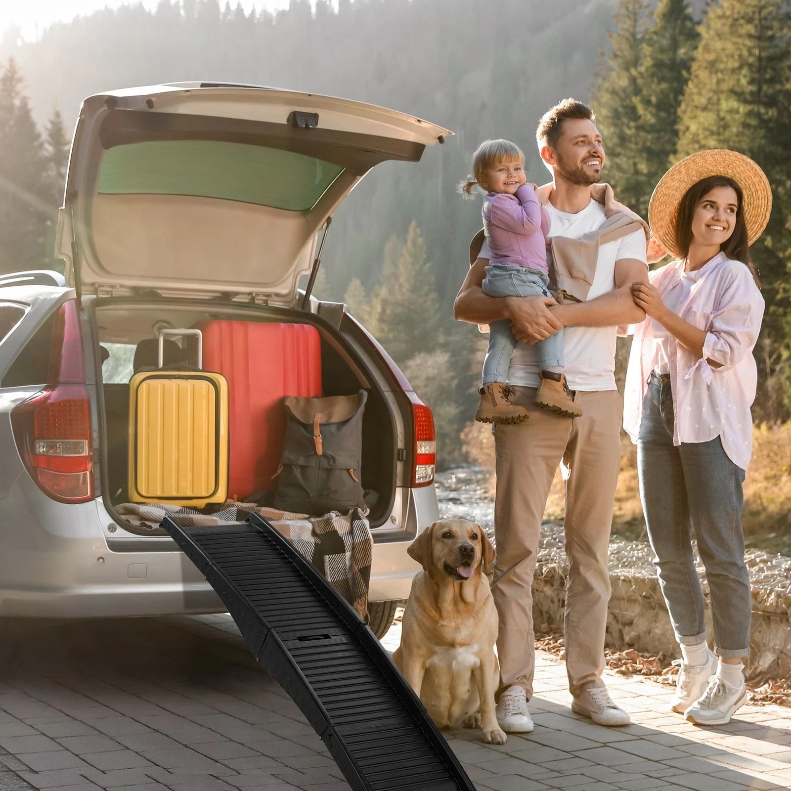 Portable Dog Ramp - Folding Non-Slip Pet Ramp