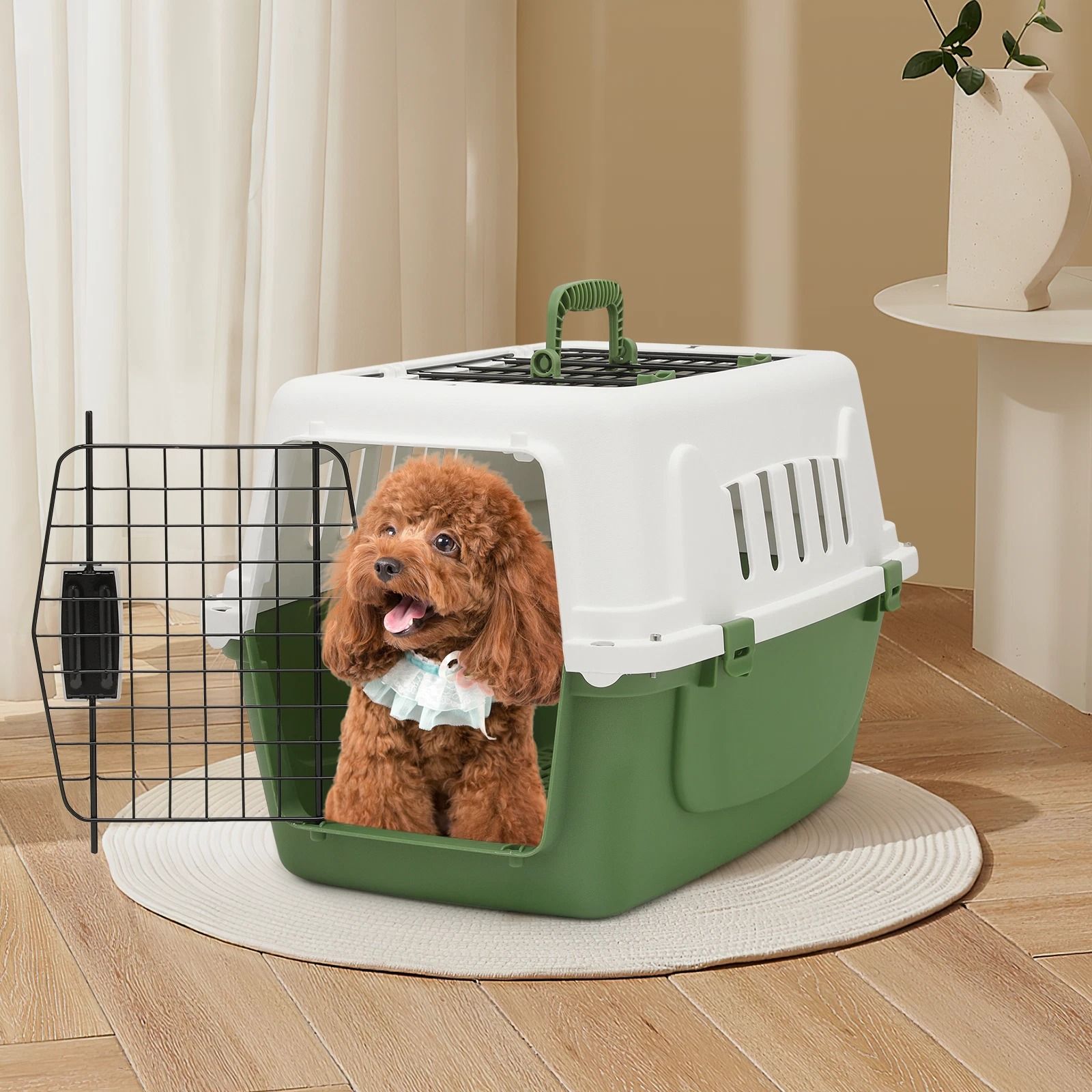 Plastic Pet Travel Carrier for Dogs and Cats | Hard-Sided Transporter Cage