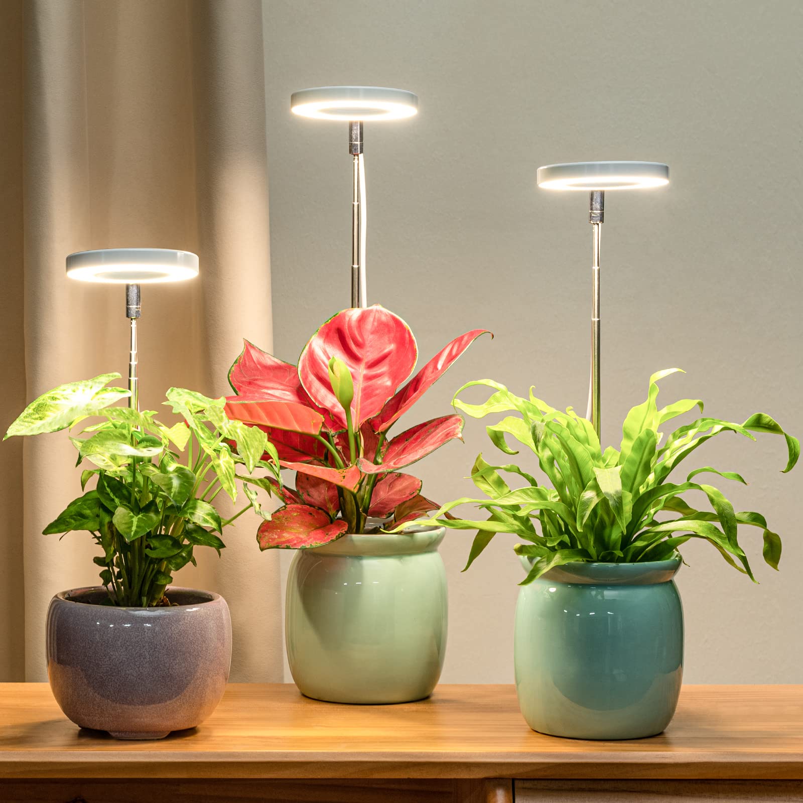 Full Spectrum LED Grow Light for Indoor Plants | Inspire Uplift