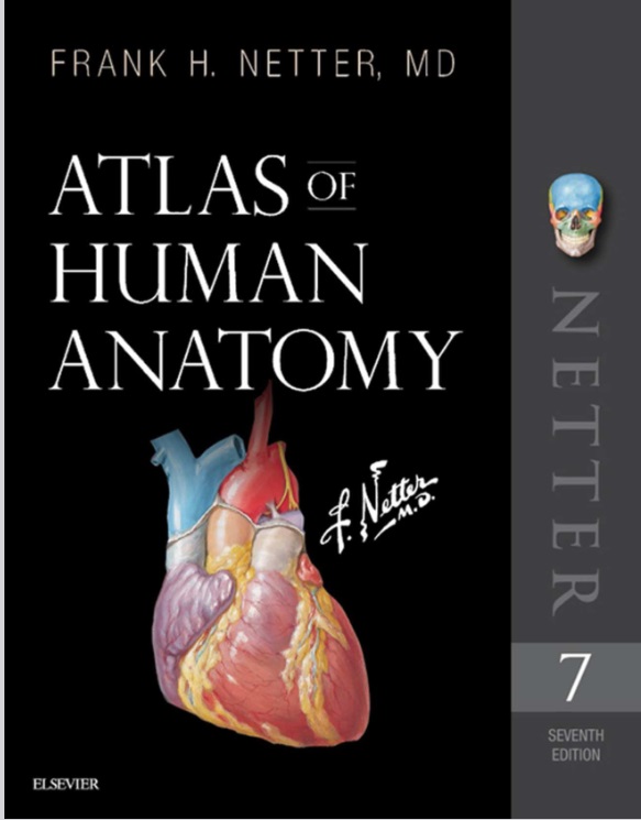Atlas of Human Anatomy by Frank H. Netter seventh edition | Inspire Uplift