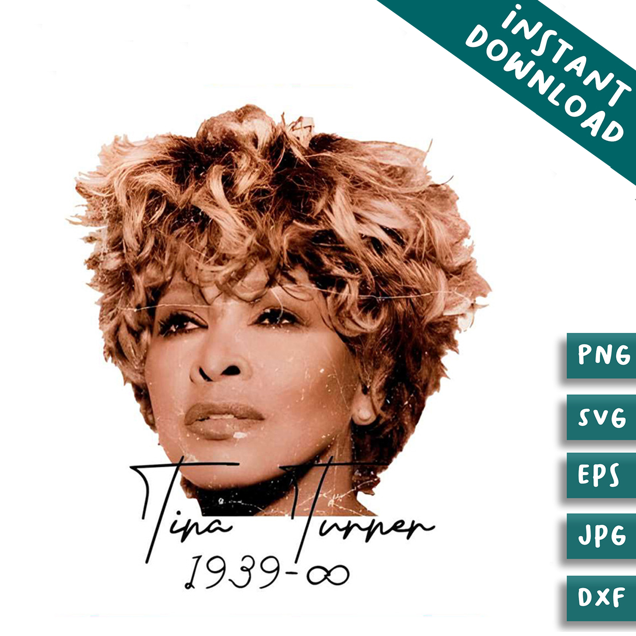 tina-turner-rip-1939-2024-png-silhouette-inspire-uplift