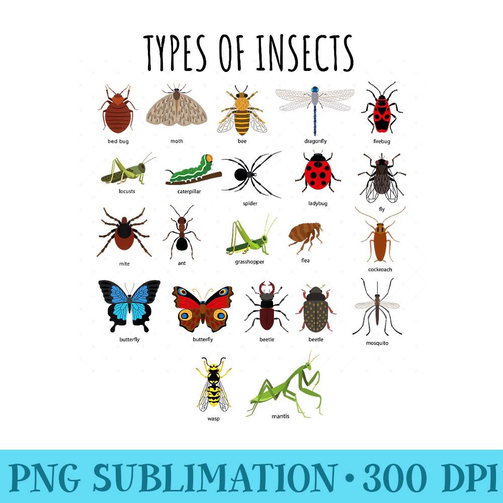 Types Of Insects T Bug Identification Science - High Resolut | Inspire ...