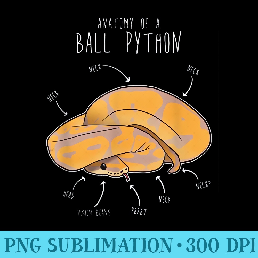Anatomy of a Banana Ball Python - PNG Download Illustration | Inspire ...