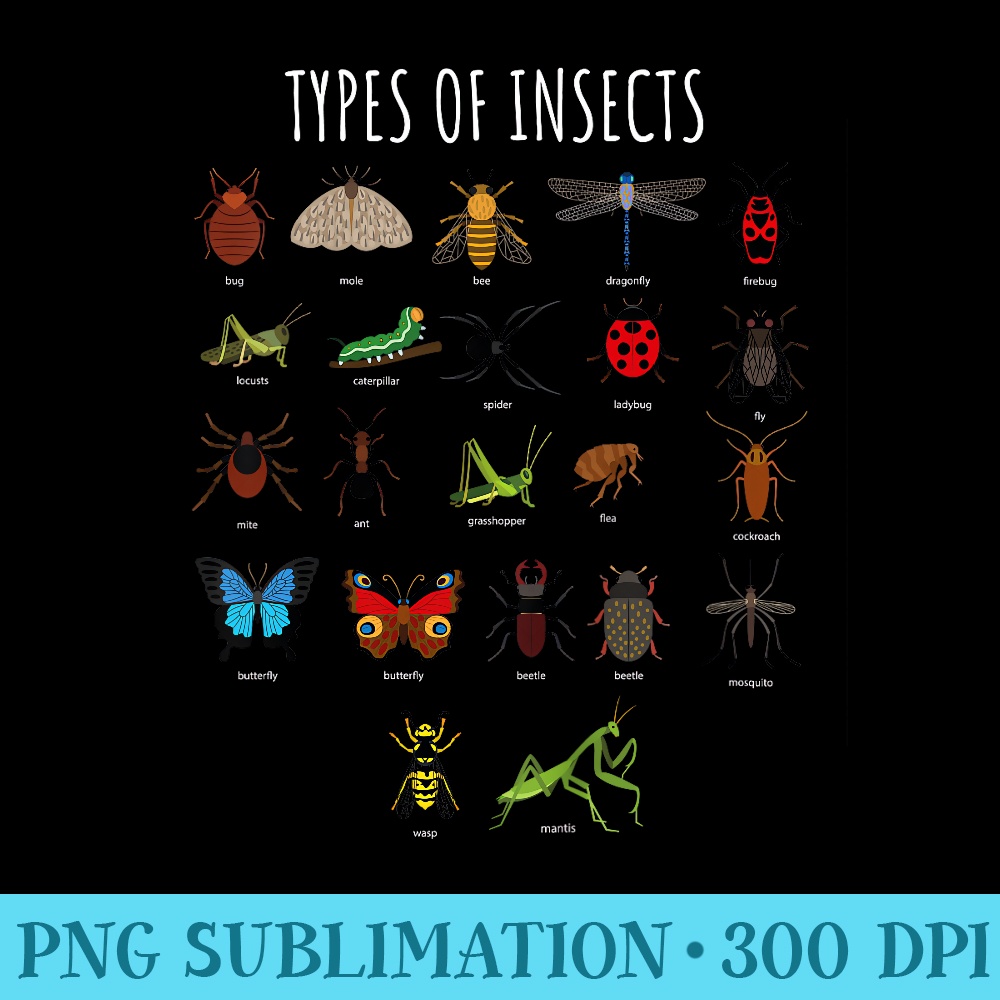 Types Of Insects T Bug Identification Science - PNG Sublimat | Inspire ...