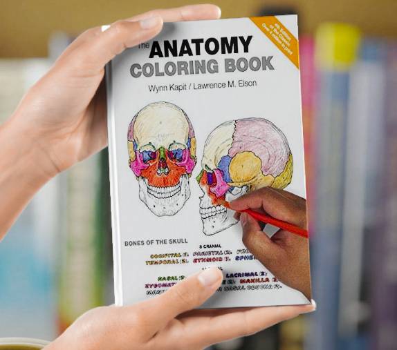 The Anatomy Coloring Book Wynn Kapit, Lawrence M Elson 4th E - Inspire ...