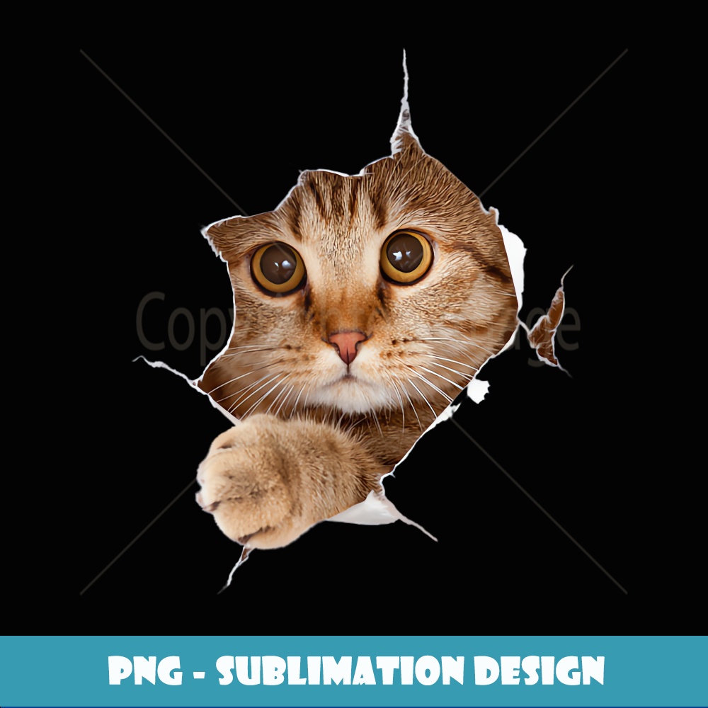 Cute Cat With Grey Cat Torn Cloth, Kitten - PNG Transparent | Inspire ...
