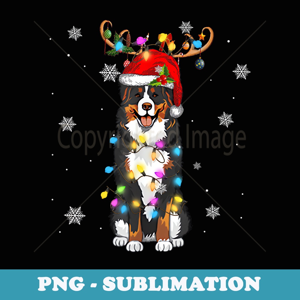 Top 7 Best Bernese Mountain Dog Breeders in Washington (WA