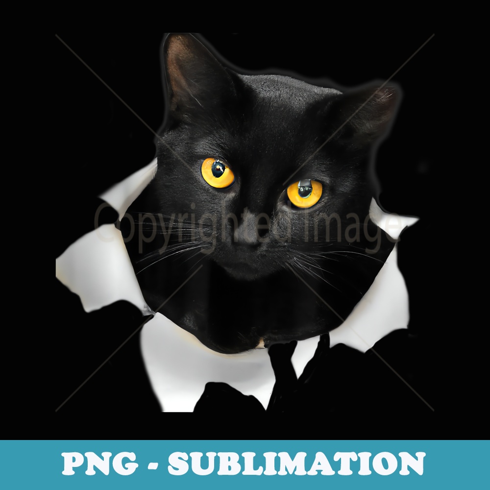 Cute Cat Torn Fabric Funny Cat - High-Resolution PNG Sublima | Inspire ...
