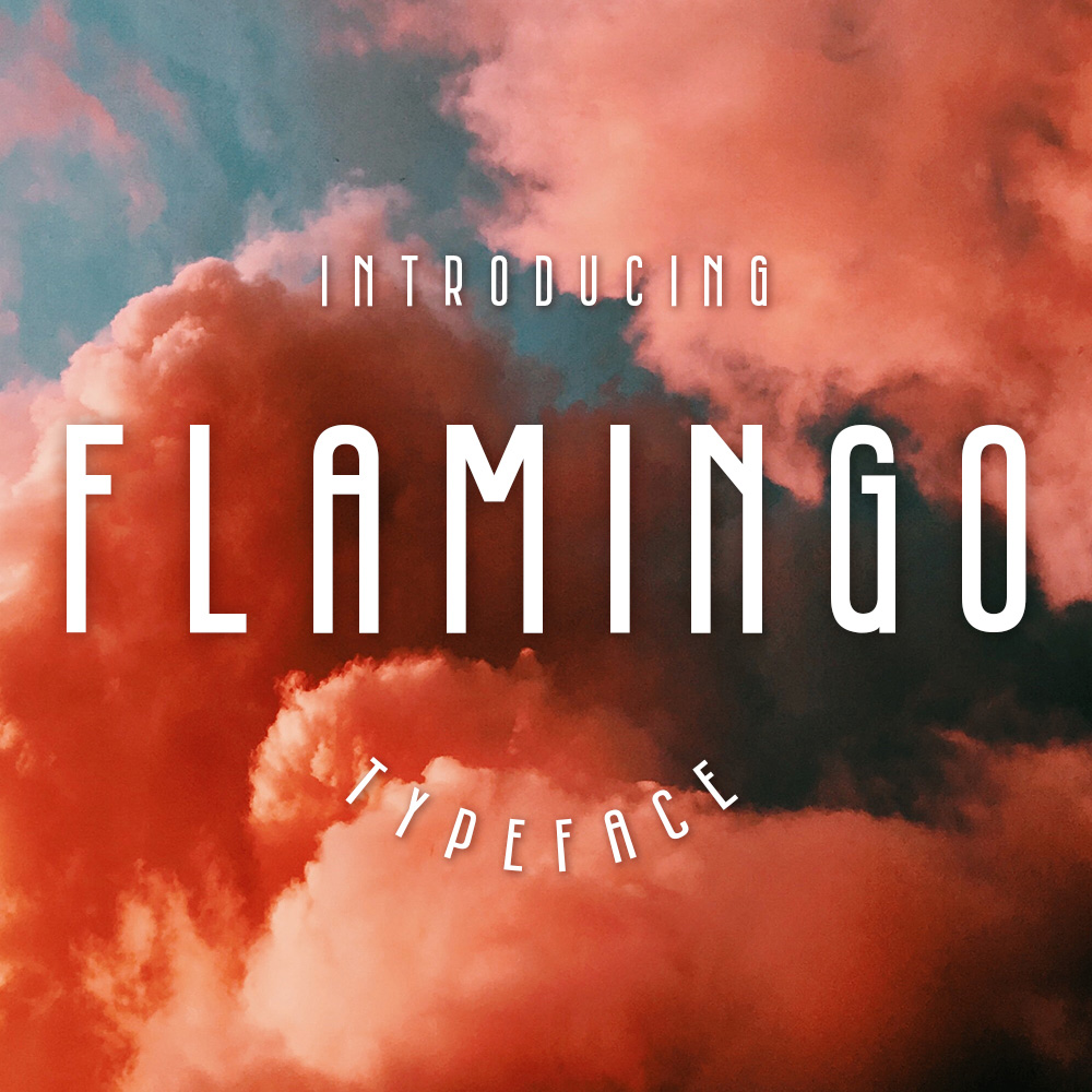 Flamingo-Font.jpg