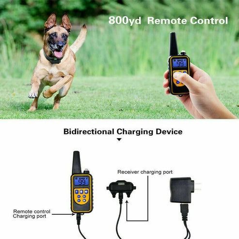 Waterproof Remote Dog Shock Training Set, Collars, LCD Rechargeable Pet Trainer