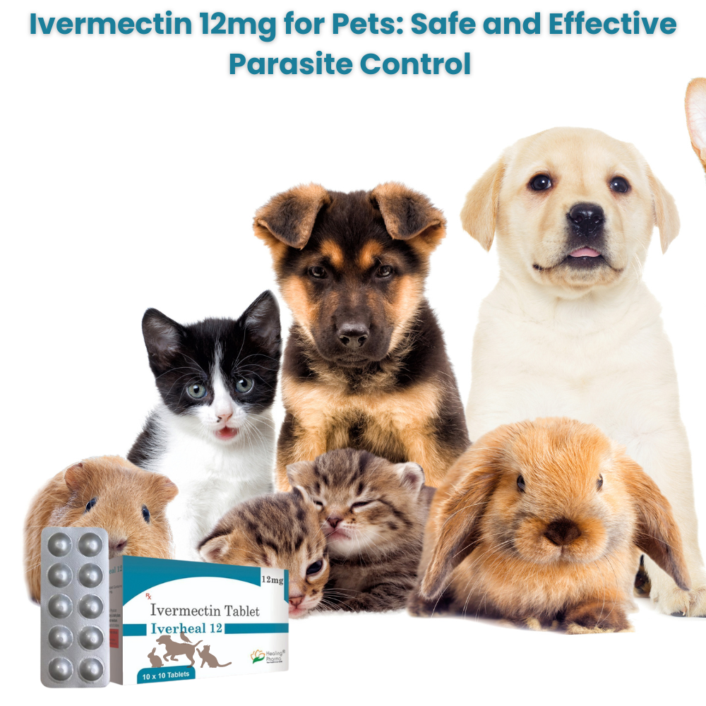 Ivermectin for Pet Safe and Parasite Controll 100 Tablets - Inspire Uplift