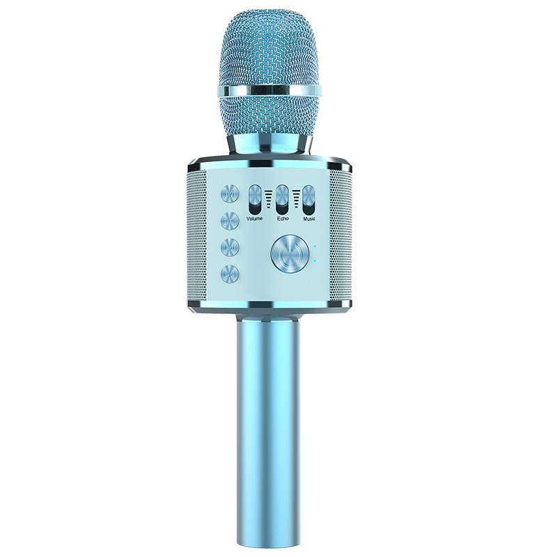 Portable Bluetooth Karaoke Microphone with Wireless Speaker for Kids & Family Fun