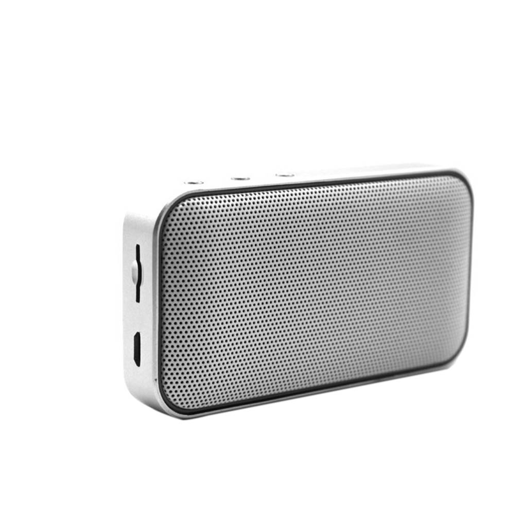Portable Bluetooth Speaker with Built In Microphone Mini Wireless Music Player