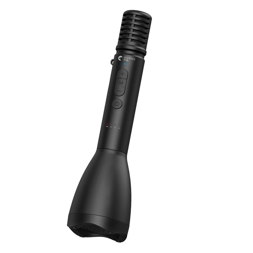 Mini Bluetooth Speaker & Wireless Handheld Microphone for Speech Teaching