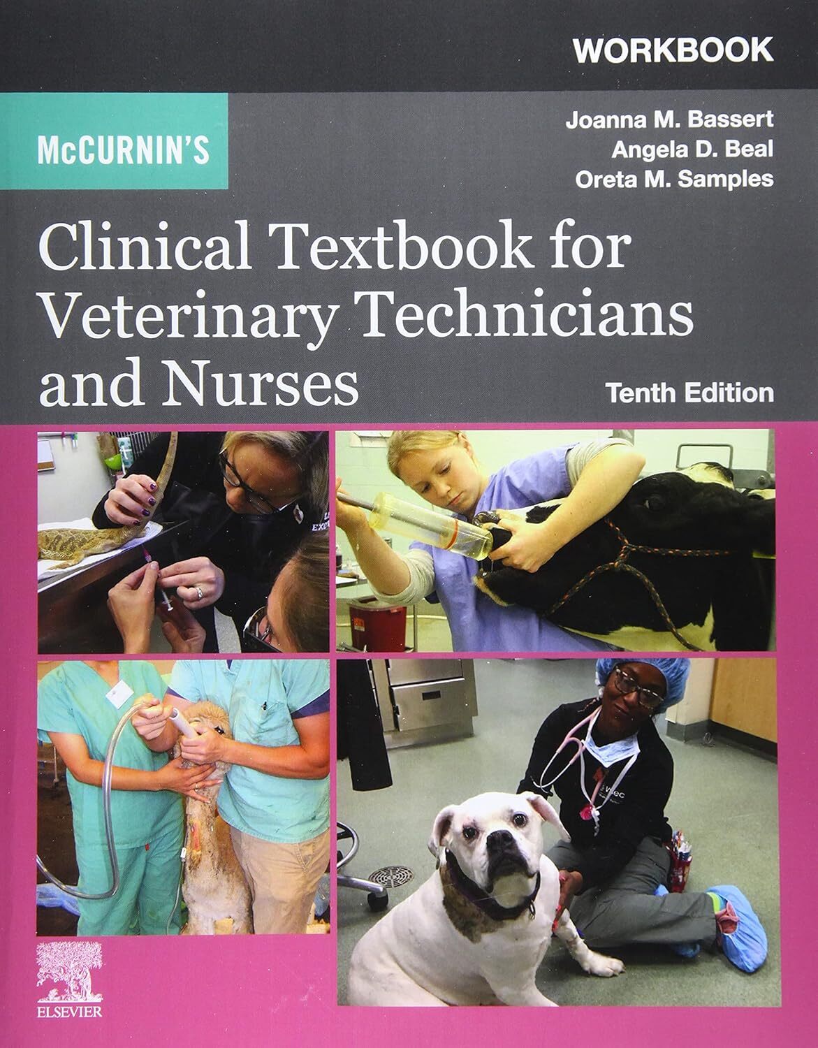 Test Bank For McCurnins Clinical Textbook for Veterinary Tec Inspire