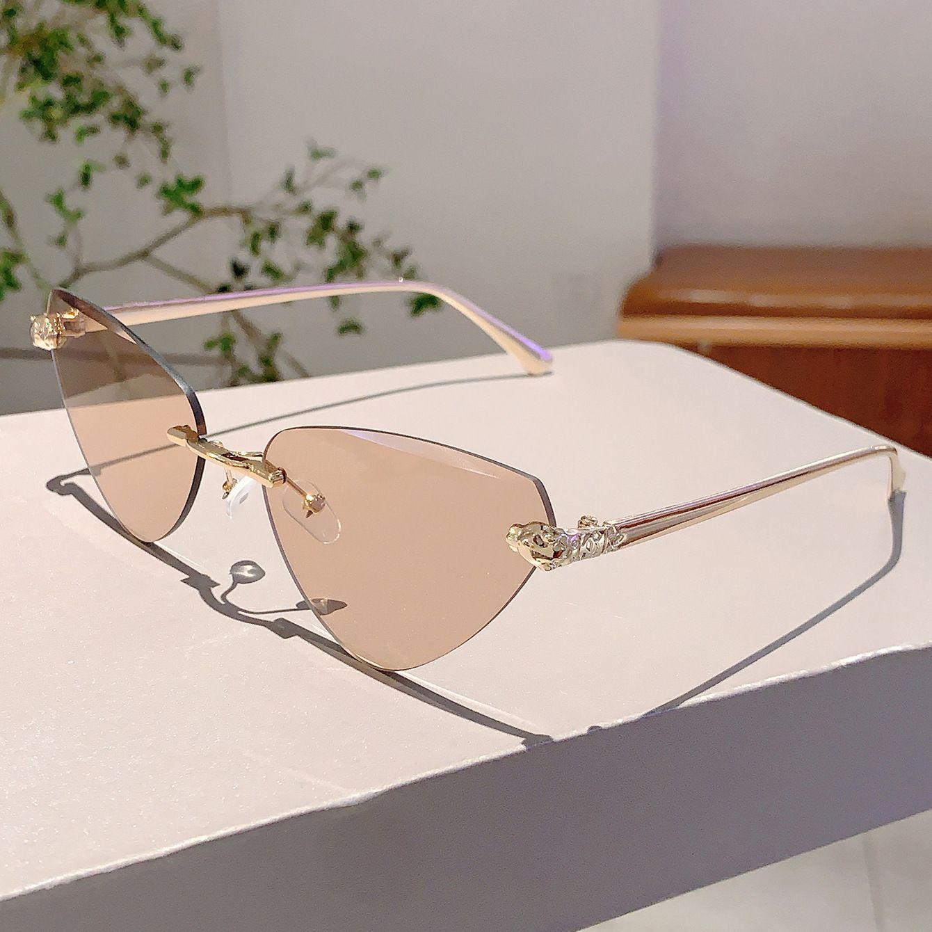 Vintage Rimless Triangle Cat Eye Sunglasses Luxury Designer Sun Glasses for Women & Men