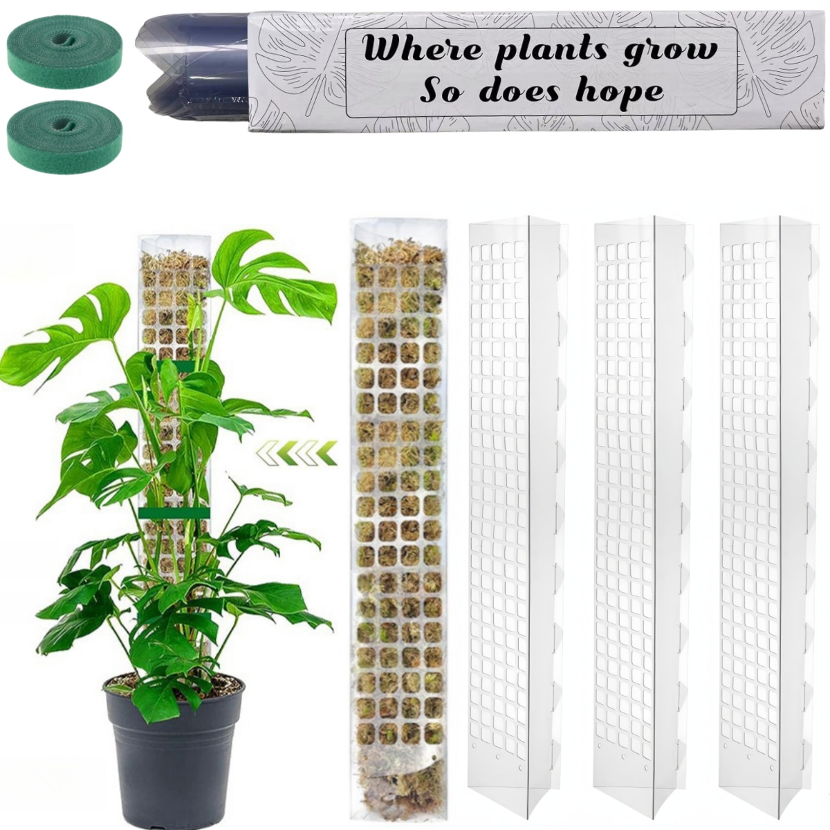 planter trellis box Outsunny Wooden Vertical Trellis Planter, Garden Delights for Vegetables, Herbs, and Flowers main image 0