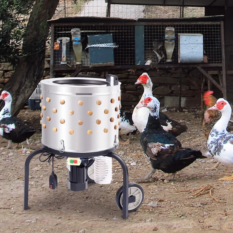 Chicken Plucker Machine Stainless Steel Drum, Motor, Feather Plucker for Fast Poultry Processing