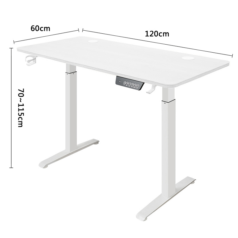 Electric Lifting Table, Height Adjustable Desk Standing, Sit Stand Desk, Computer Desk for Home Office