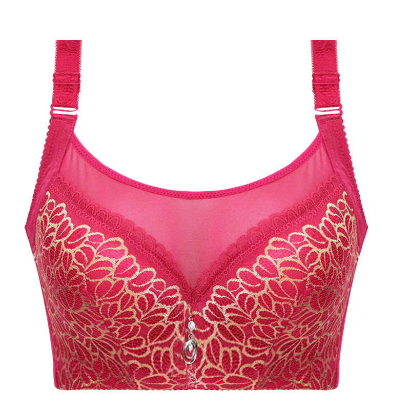 Elegant Push Up Bra for Women – Lace & Mesh Plus Size Lingerie