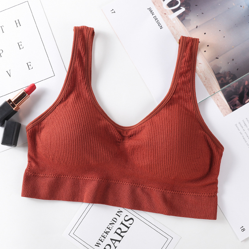 Seamless Push Up Wireless Bra for Women Non Wire Padded Bralette