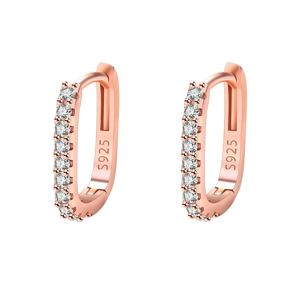 Fashion Sterling Silver Zircon Circle Hoop Earrings for Women, Luxury Crystal Jewellery, Wedding & Party Gifts