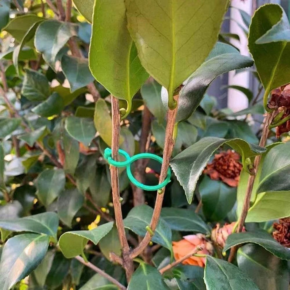 Figure Eight Plant Clips Plastic Garden Vine Ties for Trelli | Inspire ...