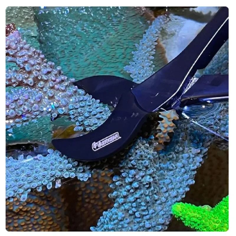 Professional Stainless Steel Coral Fragging Scissors