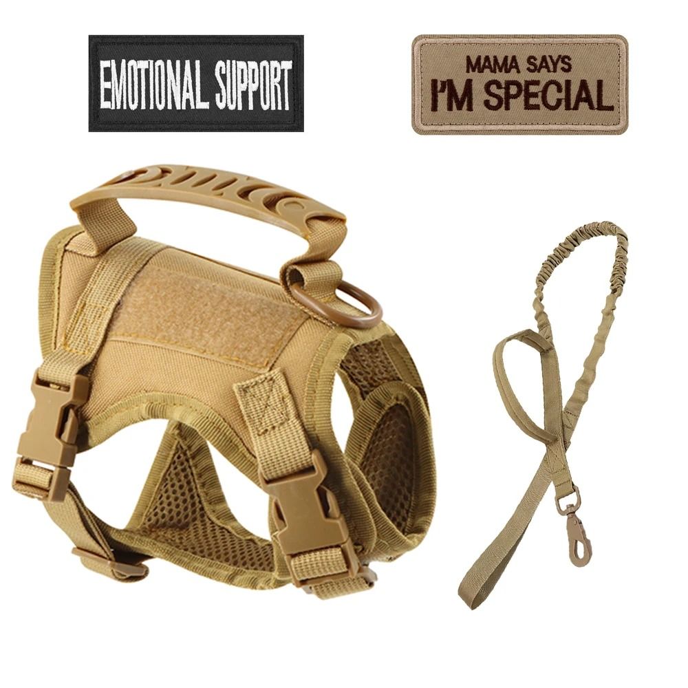 Professional Tactical Nylon Cat and Small Dog Harness & Leash Kit