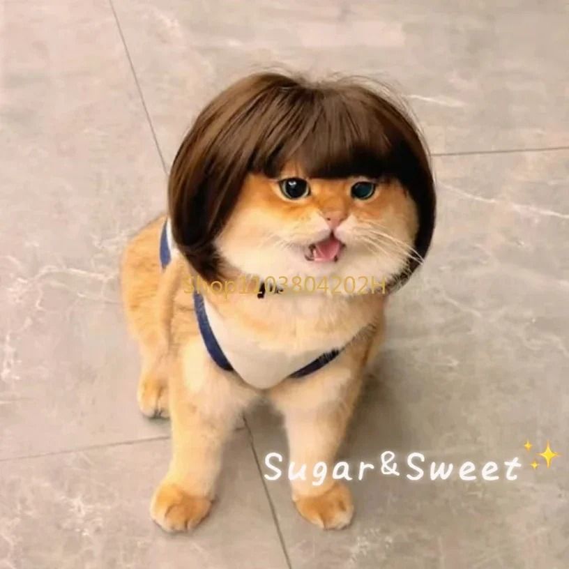 Funny Pet Cosplay Wig - Exploding Head & Braided Hair Accessories - High-Yield Festive Feline & Canine Interaction Hub